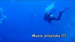 Manta