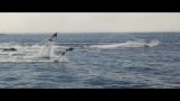 Flyboard létání za vodním skútrem